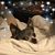 Heather Scherer's profile image