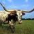 Dave Fechter's profile image