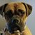 John McLain's profile image