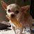 Candy Chewning's profile image