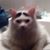 Carolyn Qualls's profile image