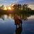 Shantal Bordeaux Rosales's profile image