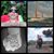Pierre Peps Eistrand's profile image