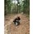 Barbara Jean Howell's profile image