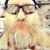 Lee Beaudoin's profile image