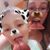Haley Shay's profile image