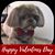 Kathy Jo Underwood's profile image