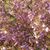 Tracy Ann Lemay Rossiter's profile image