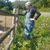 Melissa Davis's profile image