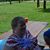 Debbie Hutzell Belt's profile image