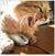 Fredi Kryuger's profile image