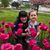 Lisa Poisson's profile image