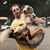 George J. Forte's profile image