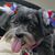 Lisa Maria's profile image
