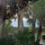 Cheryl Auten-Nunley's profile image