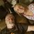 Lynn Marie Harney's profile image