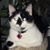 Linda Lang Kunkle's profile image