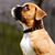 Wanda Smith Grunwell's profile image