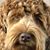 Michele Schempp's profile image