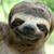 Jill Ann Green's profile image