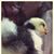 Amy Kreider's profile image
