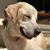 Sandra Mallalieu's profile image
