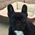 Jenny Thayer McKinney's profile image