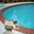 Naty Betancur Oscar Ulate's profile image