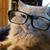 Linda Miller's profile image