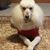Jennifer Renee Silver Gilles's profile image