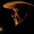 Eric Christopher Figge's profile image