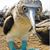 Michael Beehler's profile image