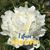Sheila Galbraith's profile image