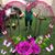 Susan Copeland's profile image
