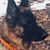 Judi Dempsey's profile image