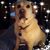 Jeanette Deanda's profile image