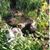 Julie Scharlau's profile image