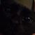 Pixie Laplant's profile image