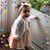 Jennifer Klotz Ludwig's profile image