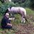 Ivan G Berrocal's profile image