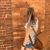 Brittany Ivey's profile image