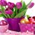 Debbie Rodriguez's profile image