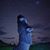 Deana Williams's profile image