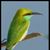 Abir Hossan's profile image