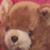 Gabriele O'Keefe's profile image