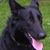 Valerie Sterling Griggs's profile image
