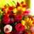 Diana Watson's profile image