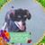 Montee Sanderson Wheat's profile image