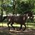 Judy Cox Martin's profile image
