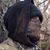 Greg Trimberger's profile image